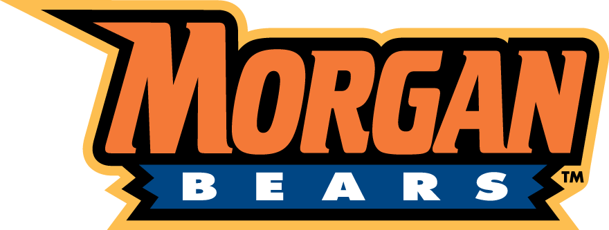 Morgan State Bears 2002-Pres Wordmark Logo v6 diy DTF decal sticker